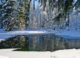 Jakie obuwie jest dobre na mrozy? Jakie obuwie jest dobre na mrozy?