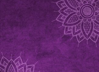 Ile kosztuje mandat za blokadę?